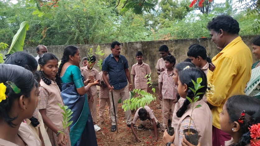 Medicinal Tree Plantation